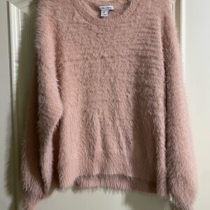 Blush Fuzzy Crew Neck Sweater
